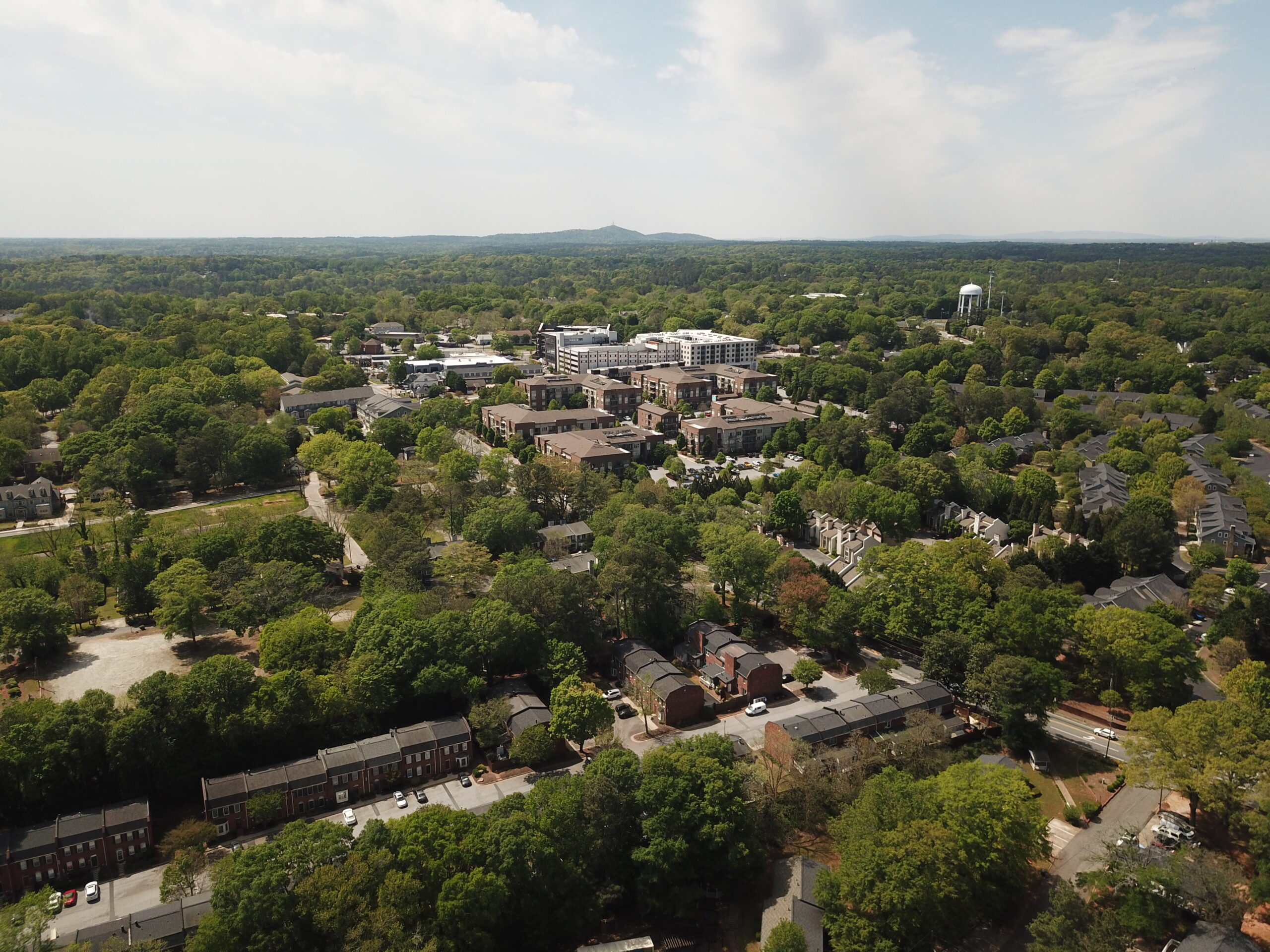 Best Neighborhoods in Roswell for Young Professionals, Families, and Empty Nesters”